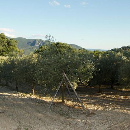 Mas Provencal La Serallere Au Coeur Des Oliviers Venterol  Экстерьер фото