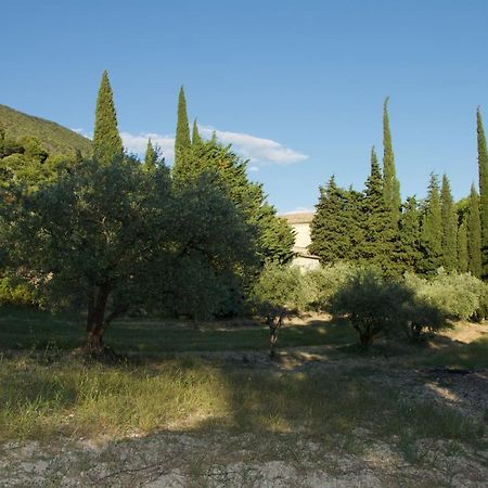 Mas Provencal La Serallere Au Coeur Des Oliviers Venterol  Экстерьер фото