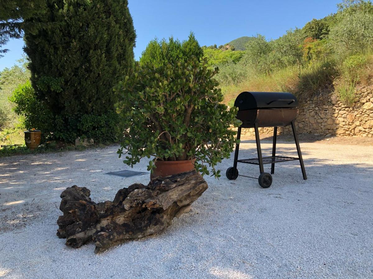 Mas Provencal La Serallere Au Coeur Des Oliviers Venterol  Экстерьер фото